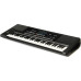 KORG Pa300