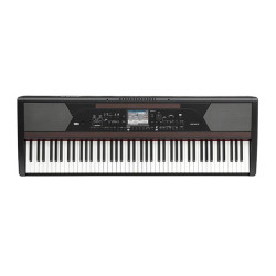 Korg Havian 30