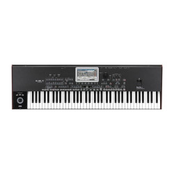 KORG Pa3X Le