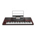 Korg Pa1000