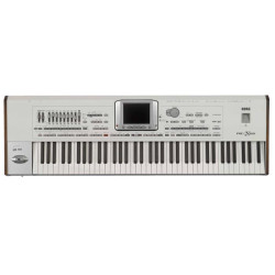 KORG Pa2X Pro