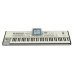KORG Pa2X Pro