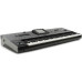 KORG Pa3X 61
