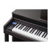 Kurzweil CUP320 SR