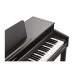 Kurzweil CUP320 SR