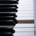Kurzweil CUP2 BP