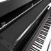 Kurzweil CUP2A SR