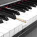 Kurzweil CUP2A SR