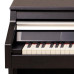 Kurzweil MP20 SR