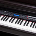 Kurzweil MP15 SR