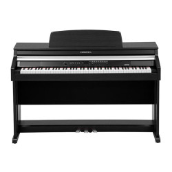 Kurzweil MP20 BP