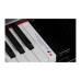 Kurzweil MP20 BP