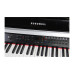 Kurzweil MP20 BP