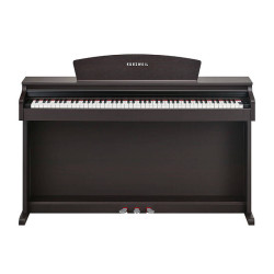 Kurzweil M110 SR