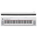 Yamaha NP12W