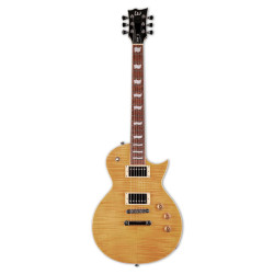 LTD EC 256 VN