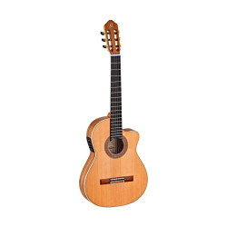 Ortega BWSM2