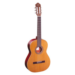 Ortega R200