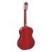 Ortega R200SN