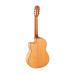 Ortega RCE179SN 25TH