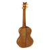 Ortega Ukulele LIZARD TE GB