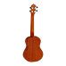 Ortega Ukulele RU5M TE