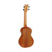 Ortega Ukulele RUACA CC
