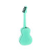 Ortega Ukulele RUHZ SFG