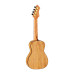 Ortega Ukulele RUMG