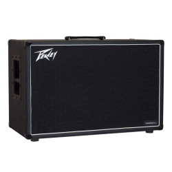 Peavey Invective 212