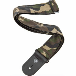 Planet Waves Camouflage