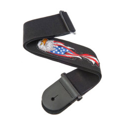 Planet Waves Eagle