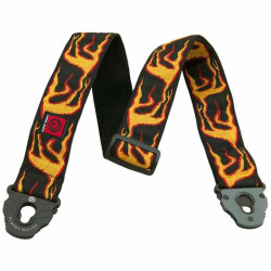 Planet Waves Flames