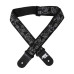 Planet Waves Joe Satriani Silver Sketches