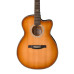 PRS SE Angelus A50EVS