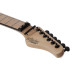 Schecter Miles Dimitri Baker SVSS CRBS