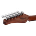 Schecter Nick Johnston Traditional Atomic GR