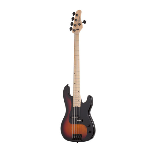 Schecter P 5 3-Tone Sunburst