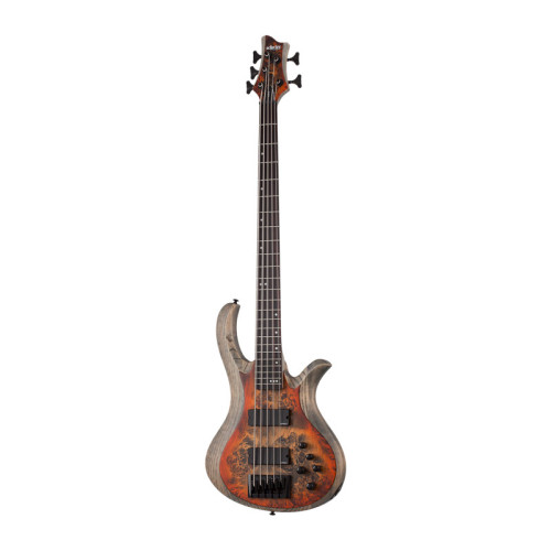 Schecter Riot 5 Bass Inferno Burst