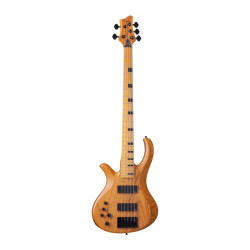 Schecter Riot 5 Session LH ANS