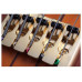 Schecter Stiletto Studio-5 Honey Satin Schecter Stiletto Studio-5 Honey Satin