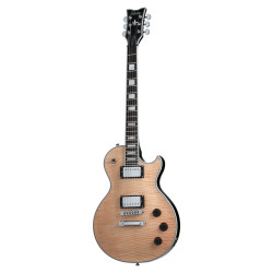 Schecter Solo II Custom GNAT