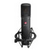 sE Electronics sE2200a II C